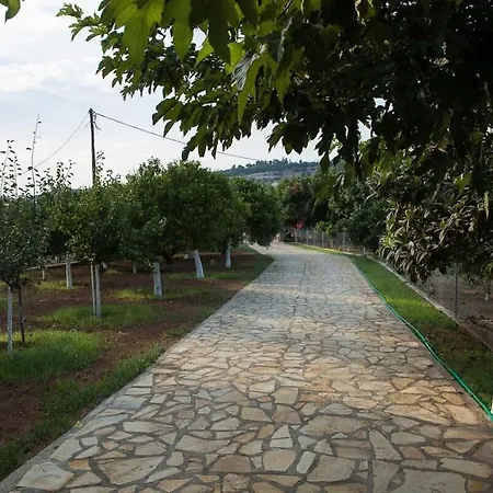 Dimelia Heaven Farm House In Kranidi